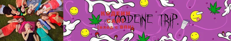 mega рабочий сайт  Кувшиново  Кодеиновый сироп Lean Purple Drank 